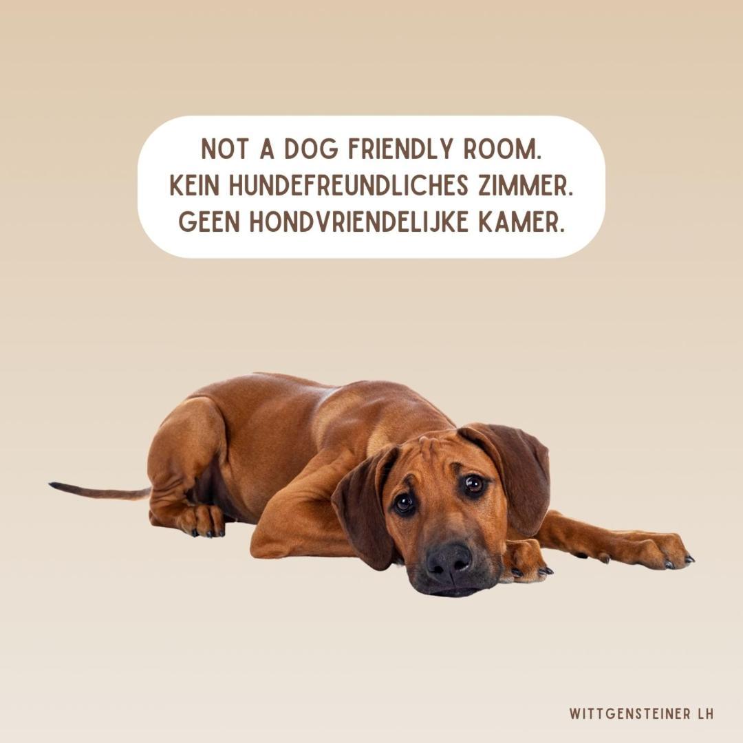 Landhotel Flora & Fauna (Adults Only) Winterberg Quarto foto